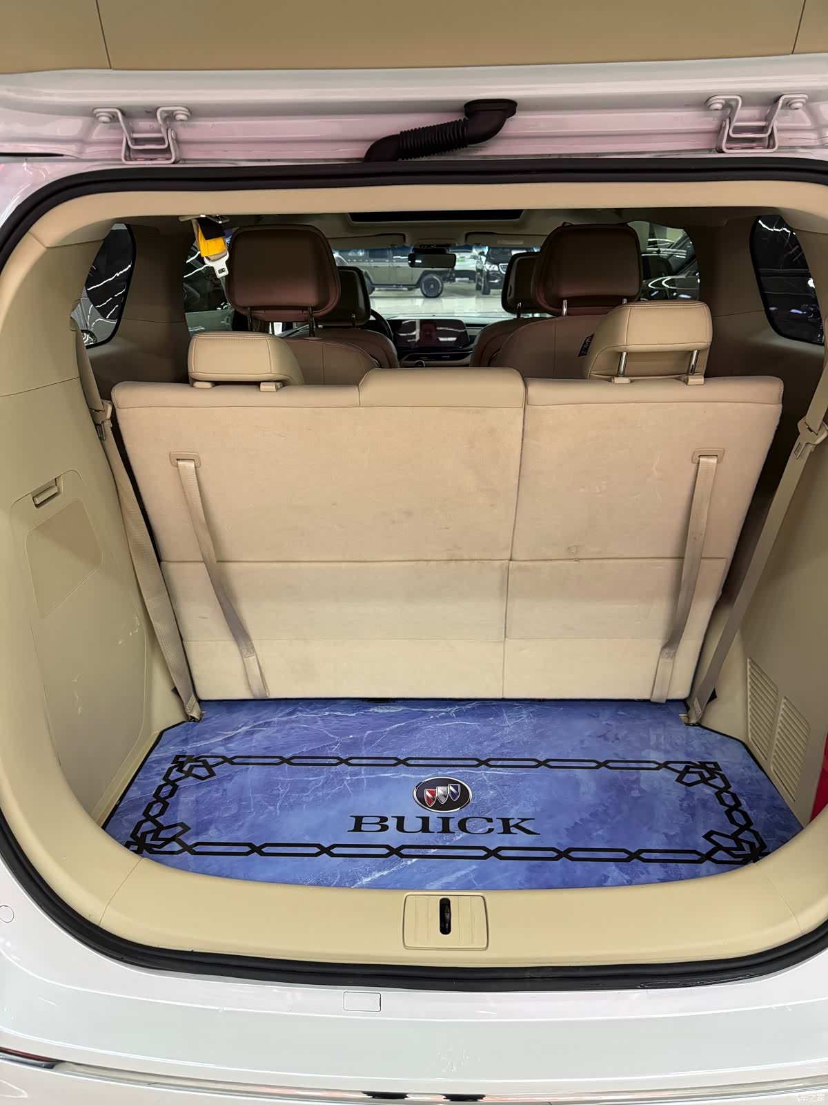 Buick GL8, 2023 12