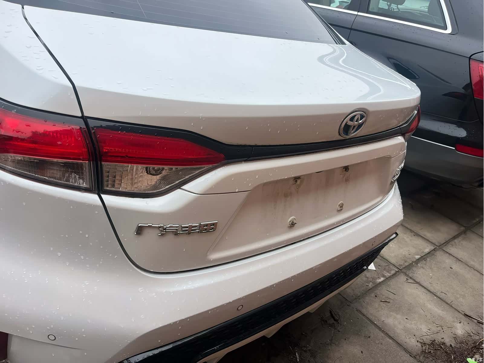 Toyota Levin, 2020 6