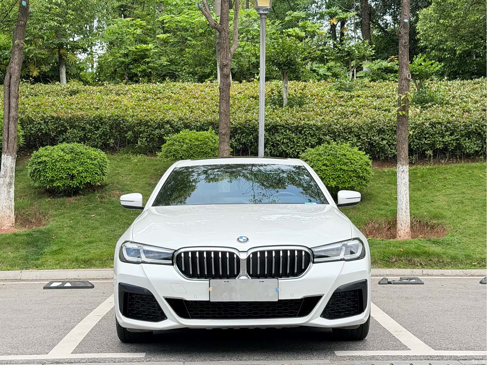 BMW 5 Series, 2021 2