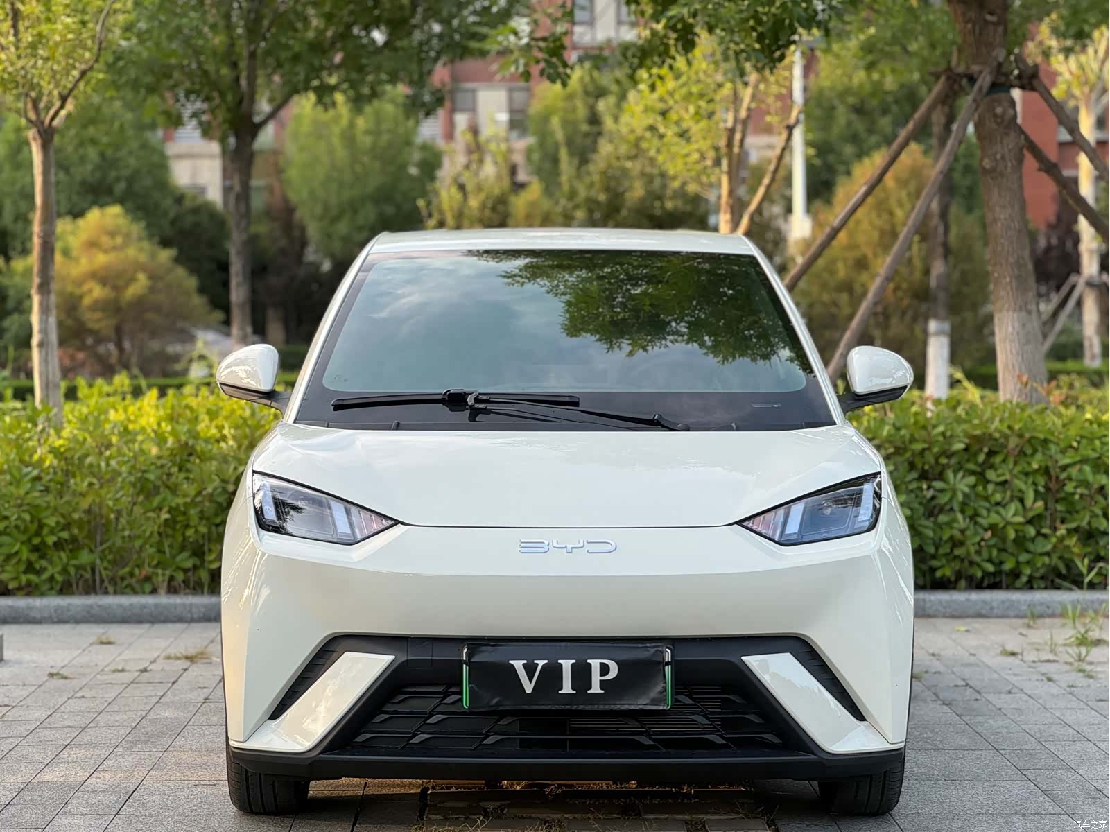 BYD Seagull, 2025 2