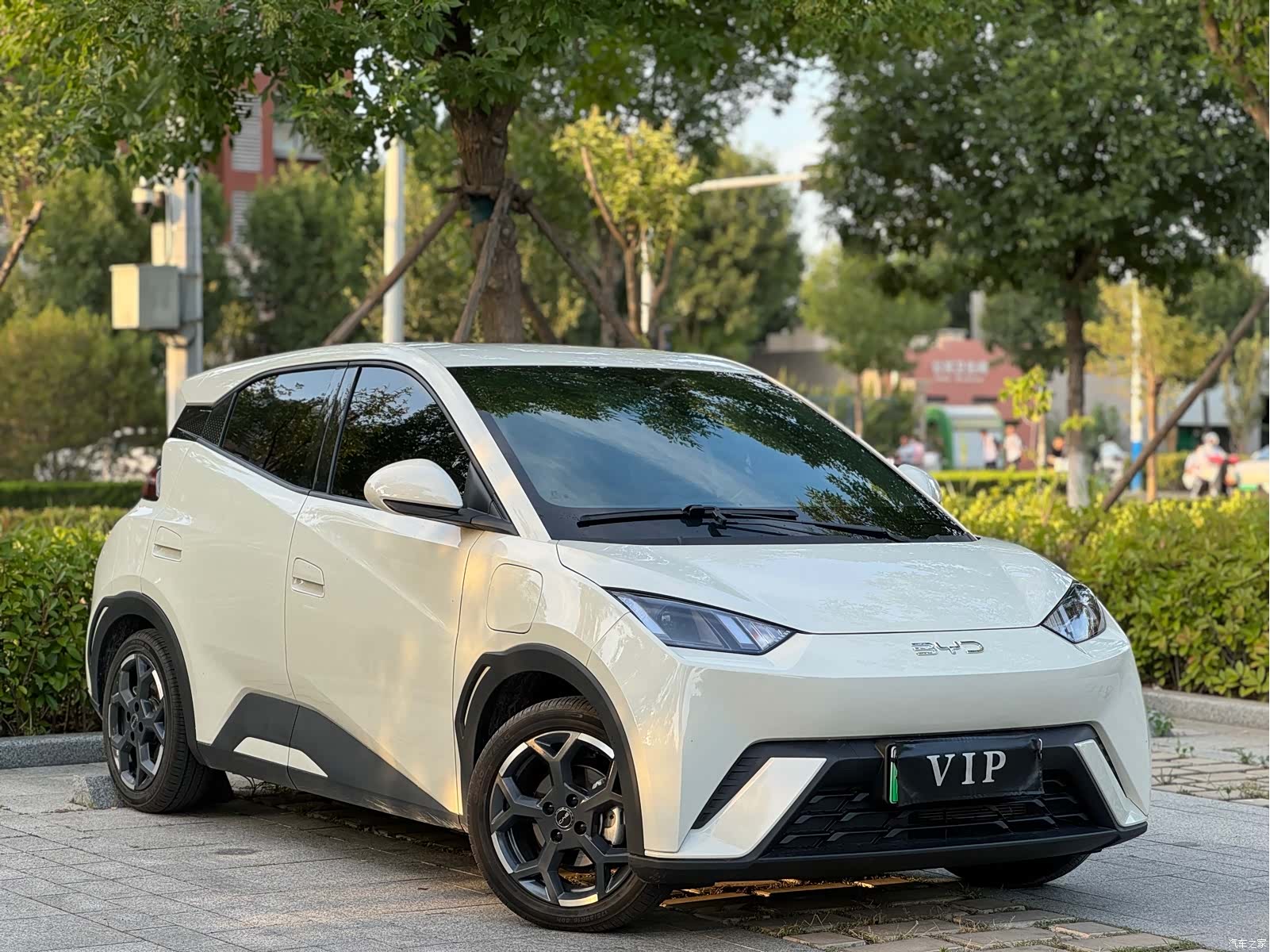 BYD Seagull, 2025 3