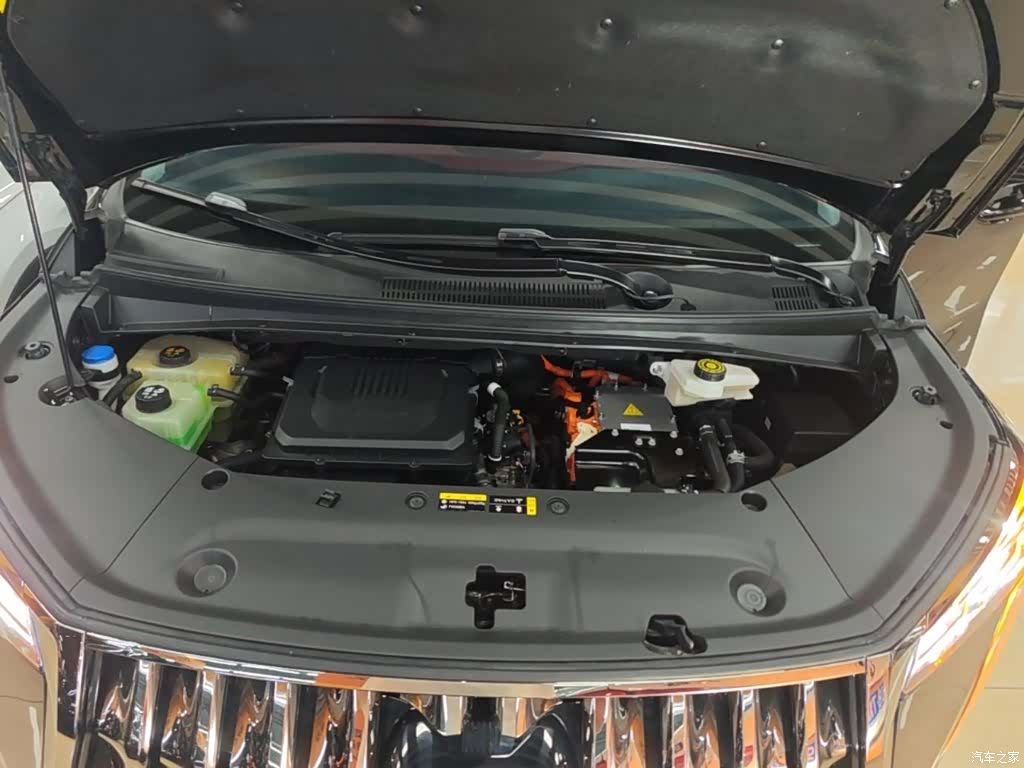 Trumpchi E9, 2024 20