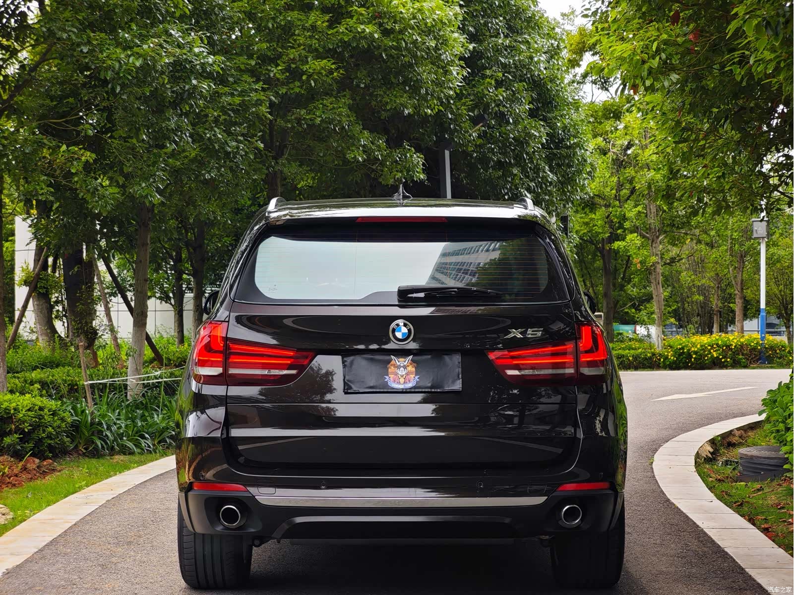 BMW X5, 2017 все фото
