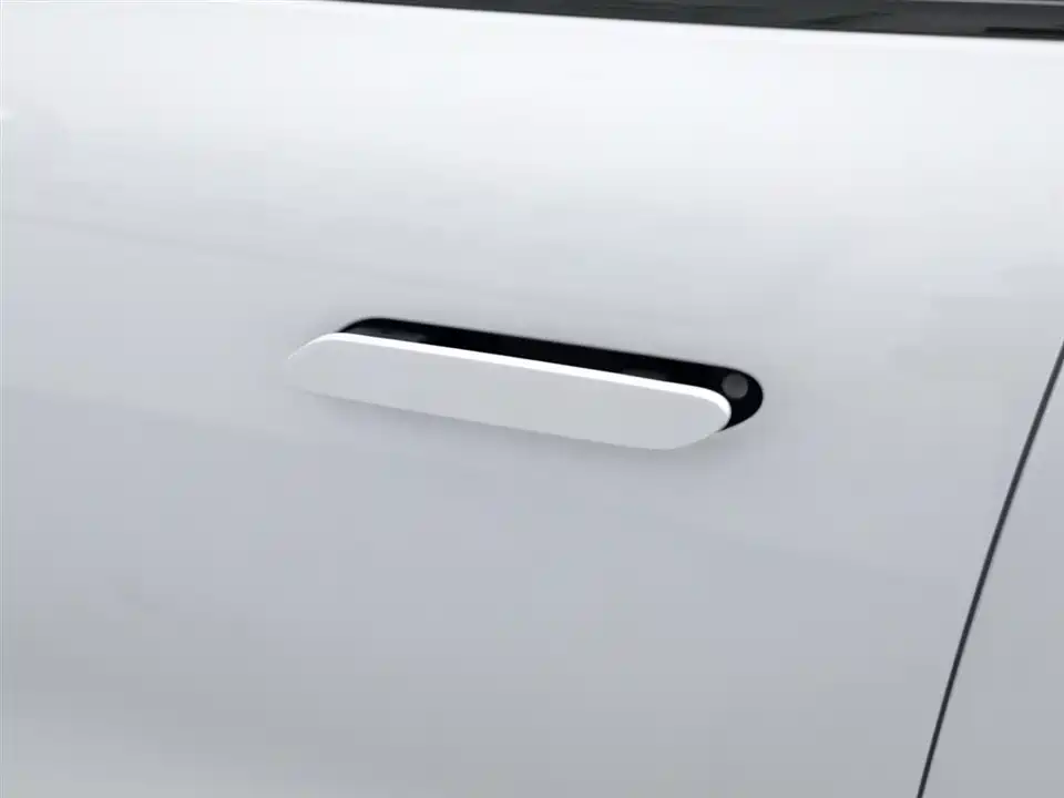 ARCFOX Polar Fox Alpha S