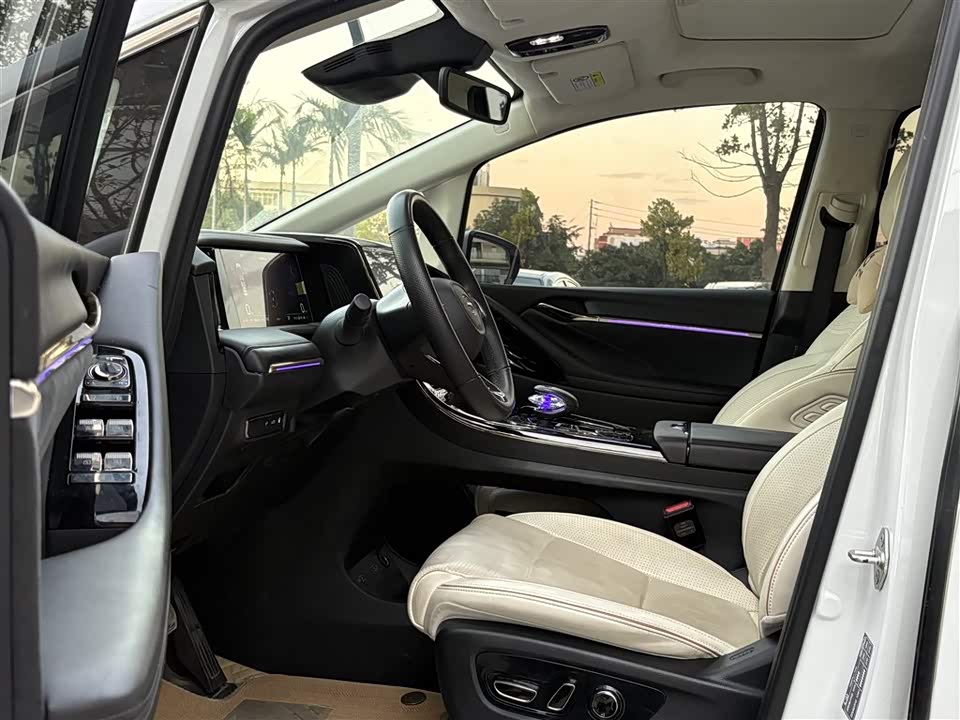 Trumpchi Trumpchi E9