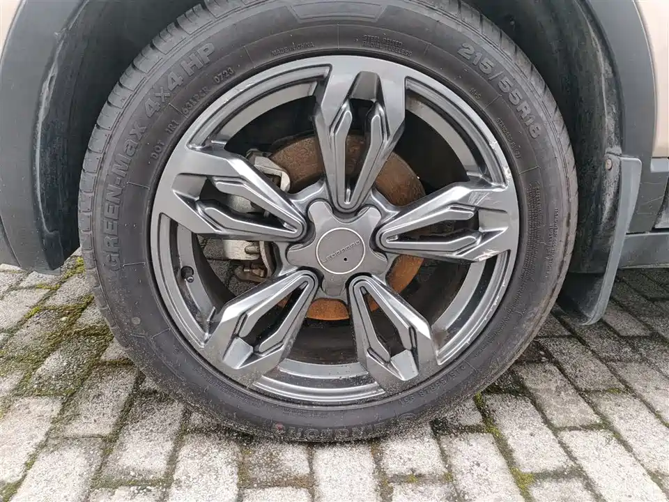 Leopaard Cheetah CS9