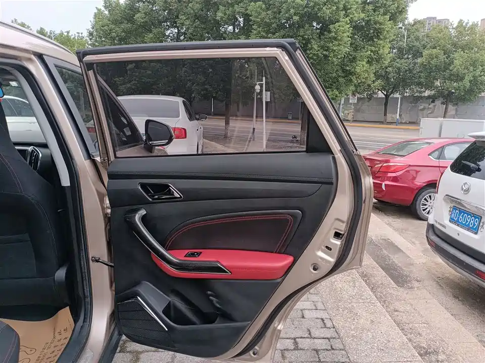 Leopaard Cheetah CS9