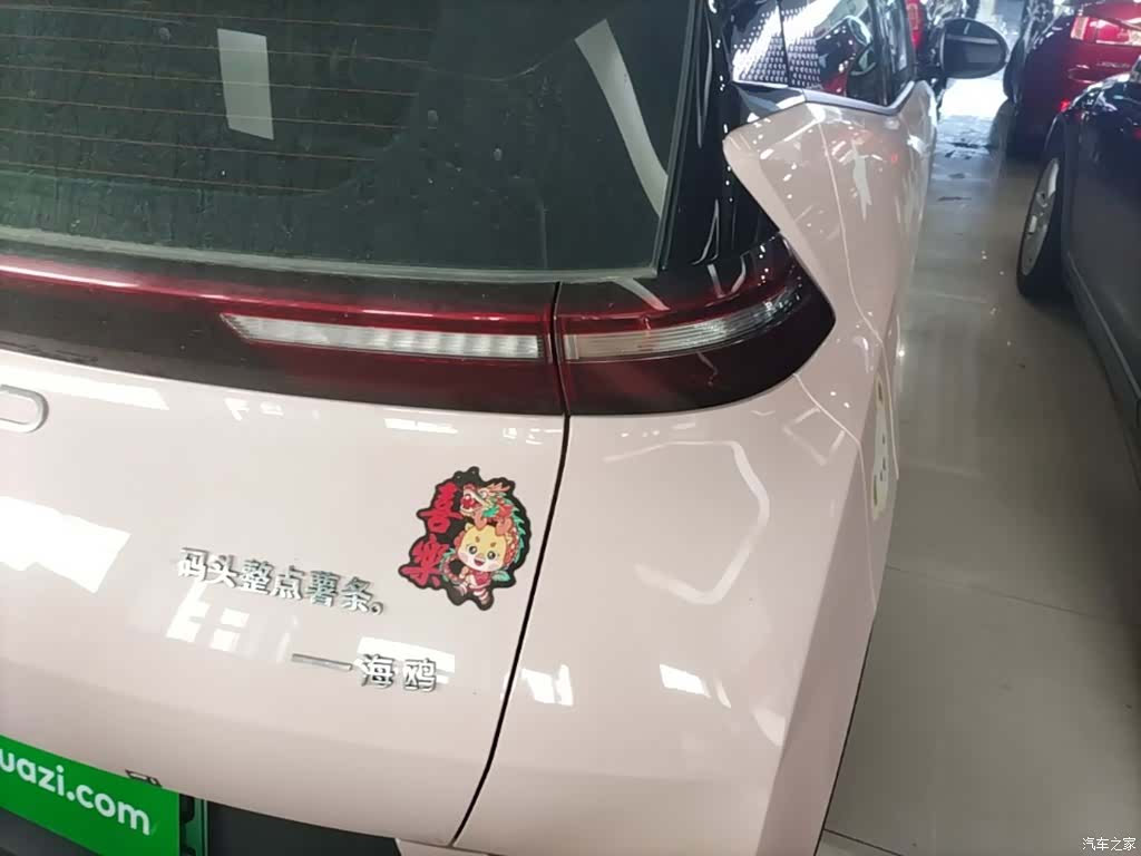 BYD Seagull, 2024 24
