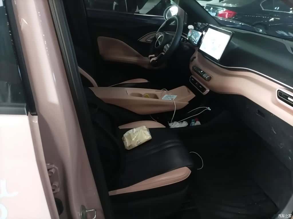 BYD Seagull, 2024 20