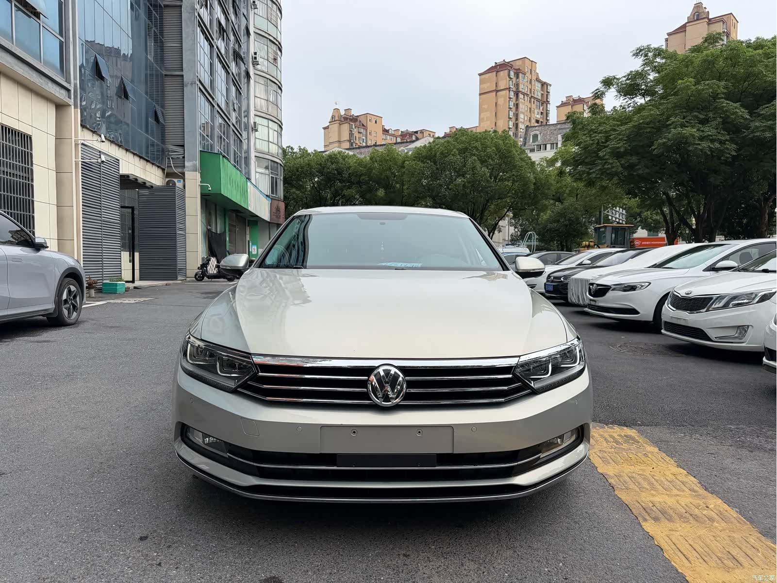 Volkswagen Magotan, 2019 2