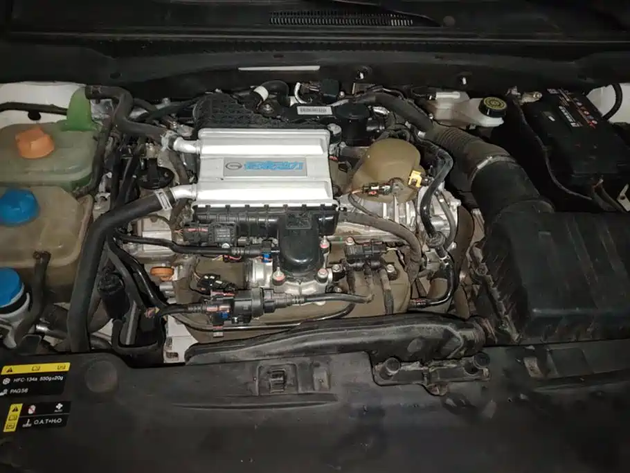 Trumpchi Shadow Leopard