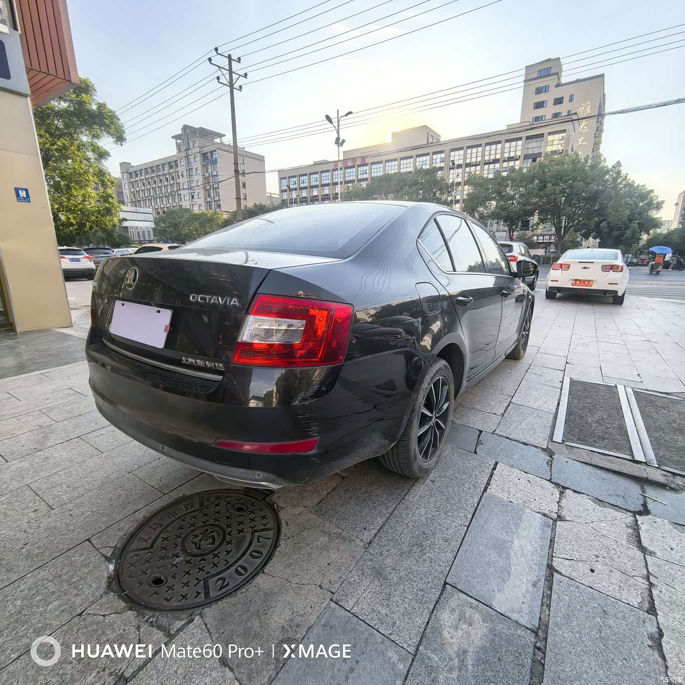 Skoda Octavia, 2017 7
