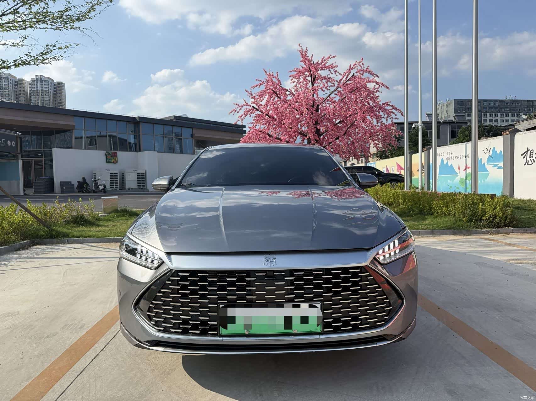 BYD Qin, 2024 2