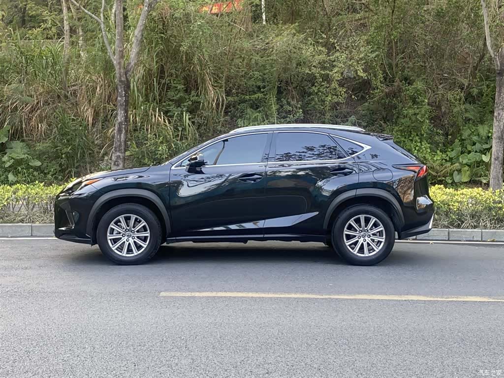 Lexus NX, 2018 14