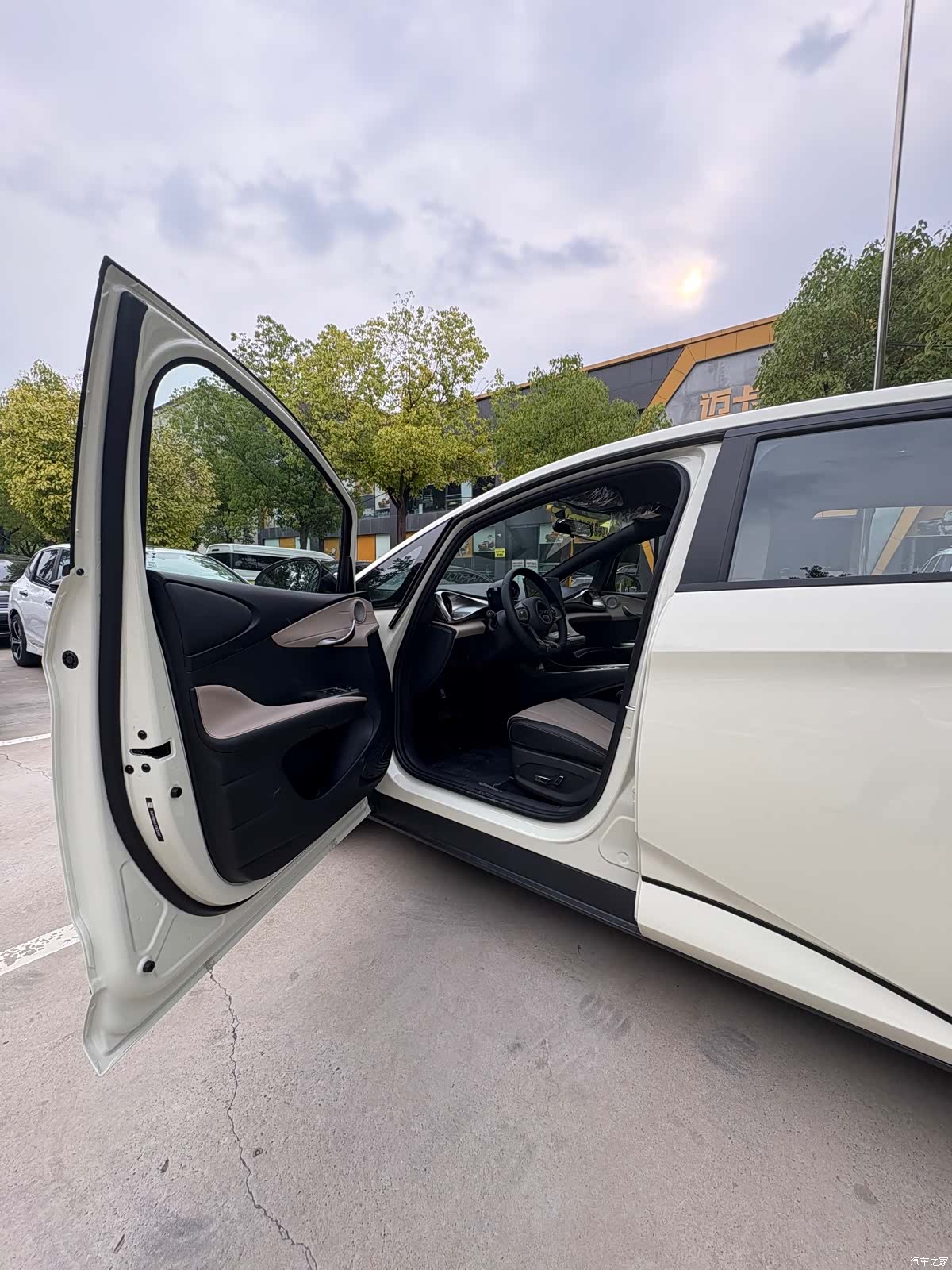 BYD Dolphin, 2026 4