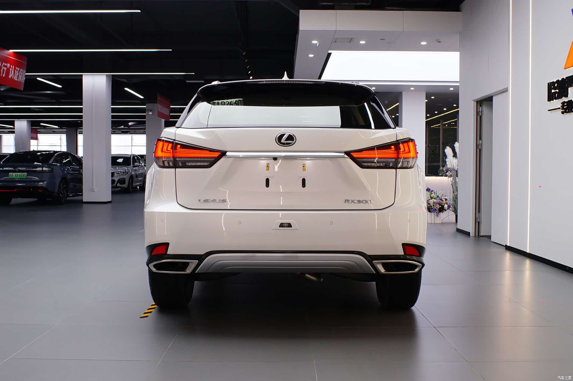 Lexus RX, 2021 6