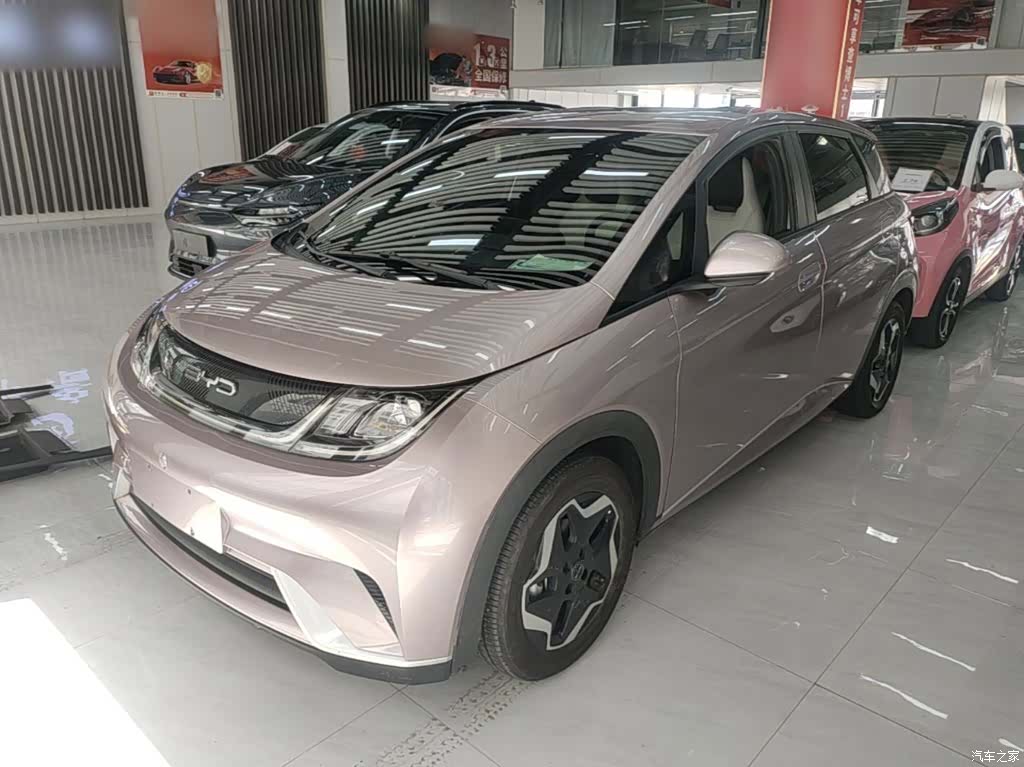 BYD Dolphin, 2023 1