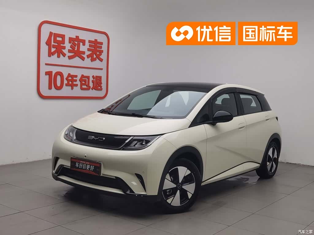 BYD Dolphin, 2024 1