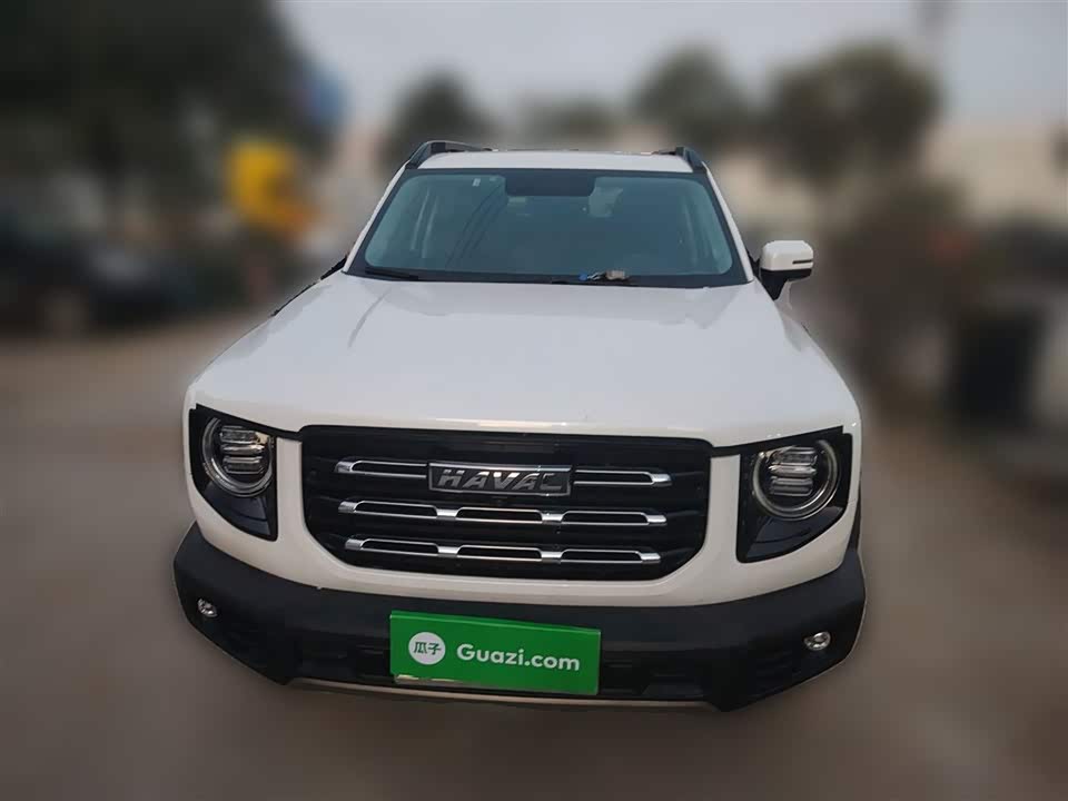 Haval Big dog