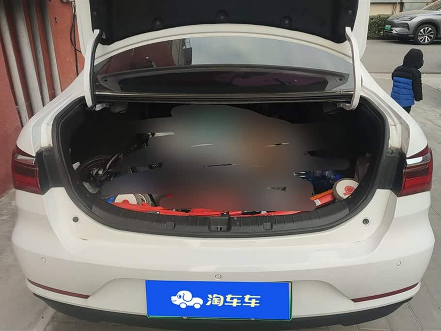 BYD Qinxin Energy