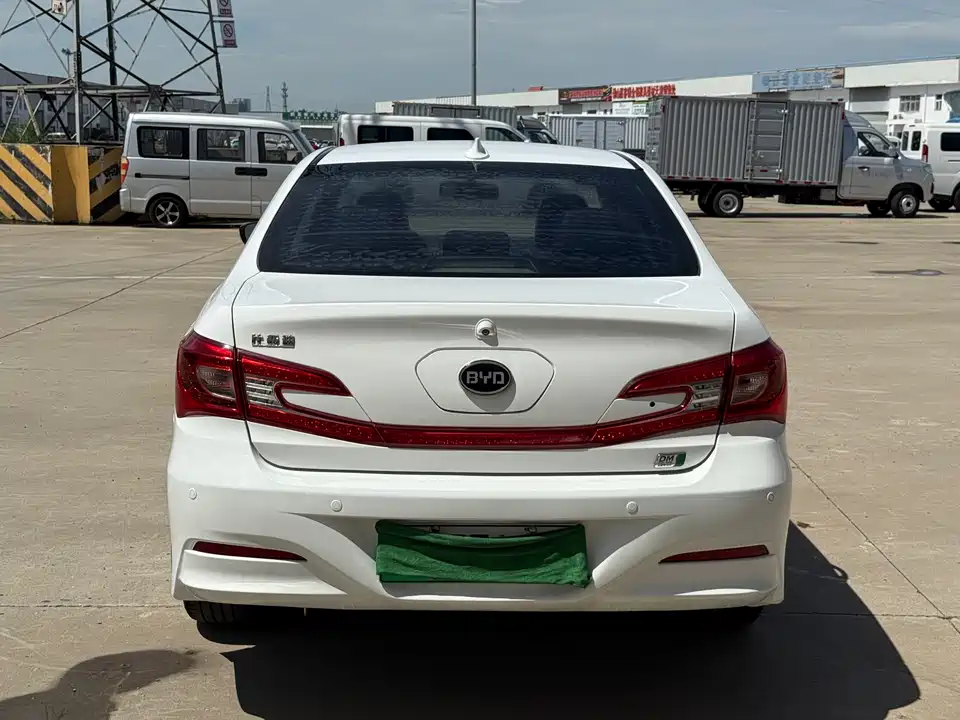 BYD Qinxin Energy