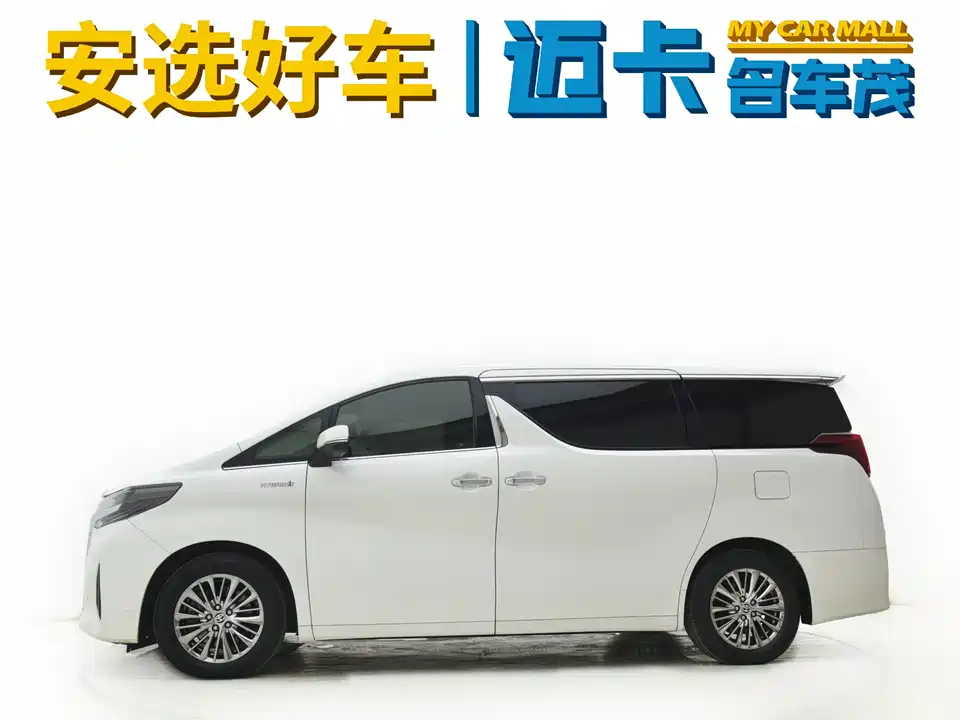Toyota Elfa