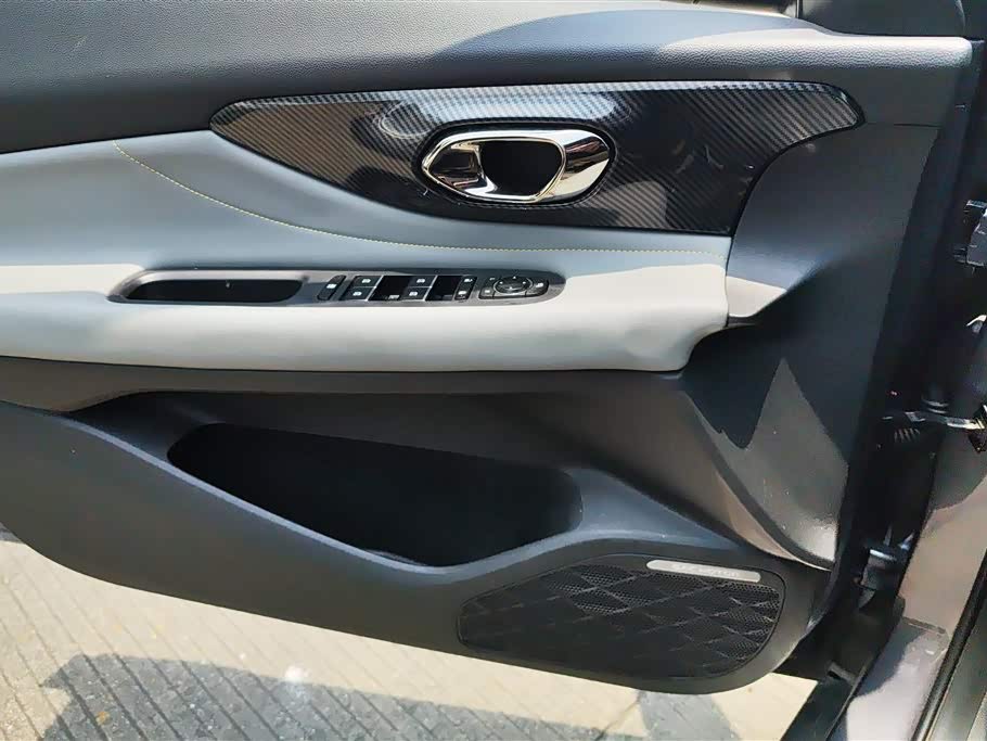 Trumpchi Shadow Leopard