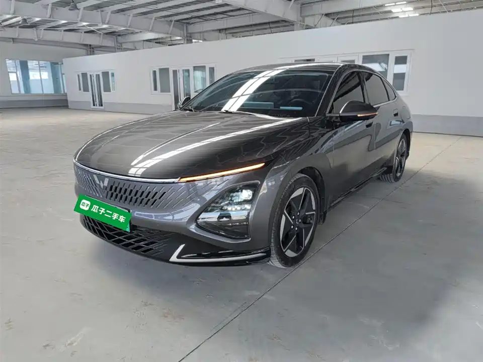 Wuling Wuling Starlight