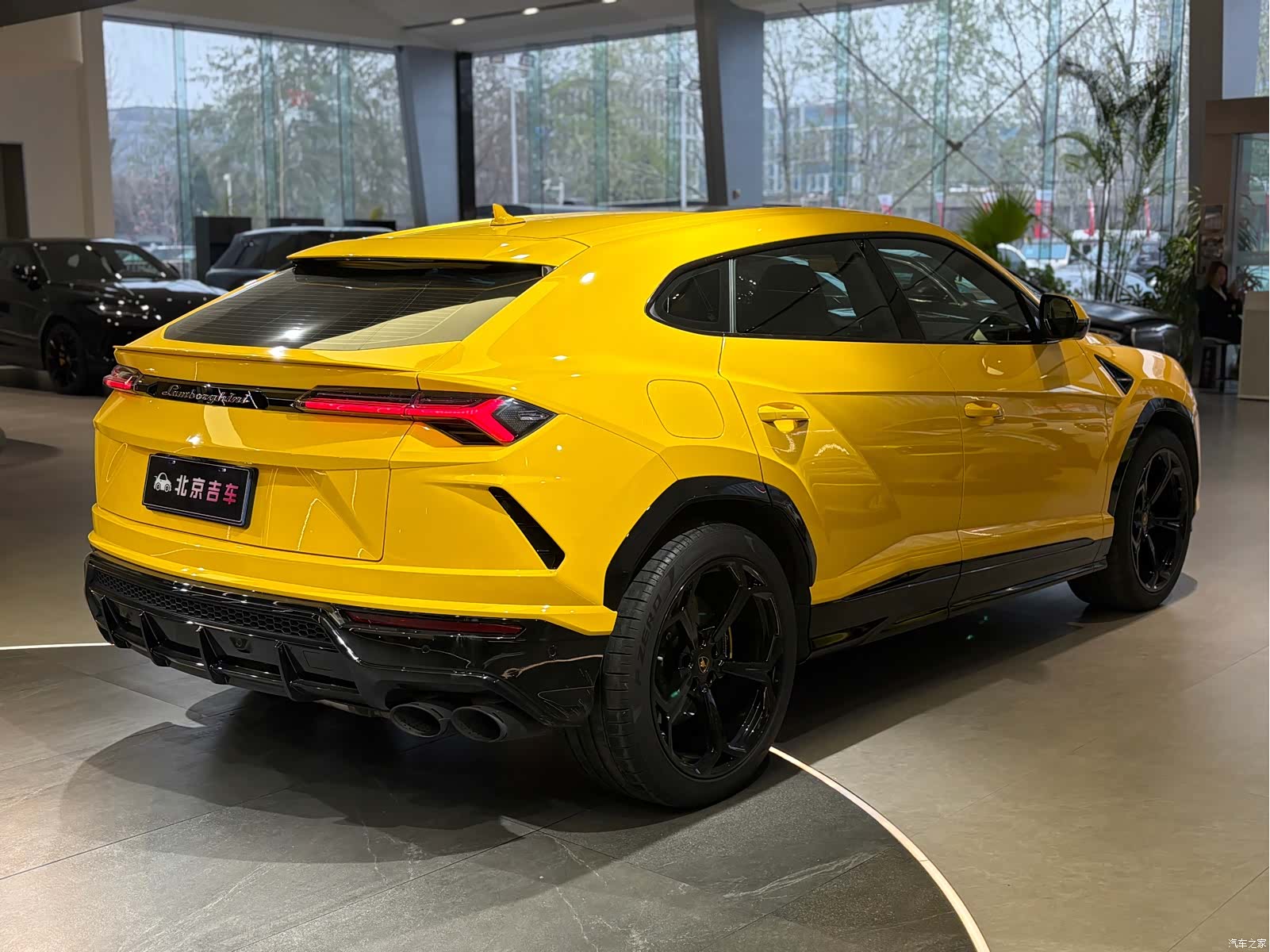 Lamborghini Urus, 2019 все фото