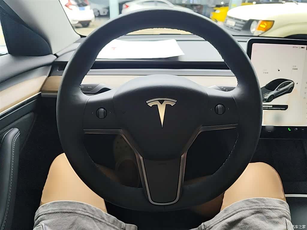 Tesla Model 3, 2021 11