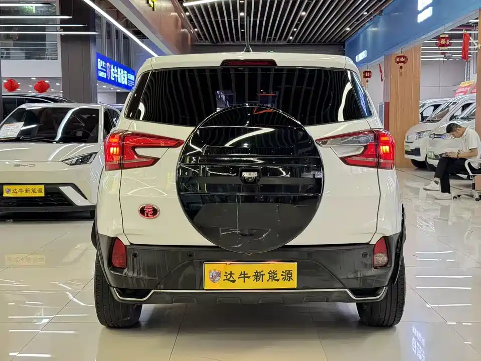 BYD Yuanxin Energy