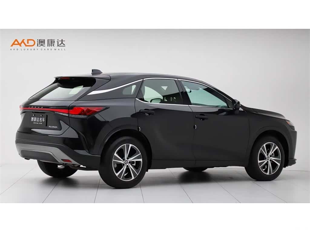 Lexus RX, 2024 3
