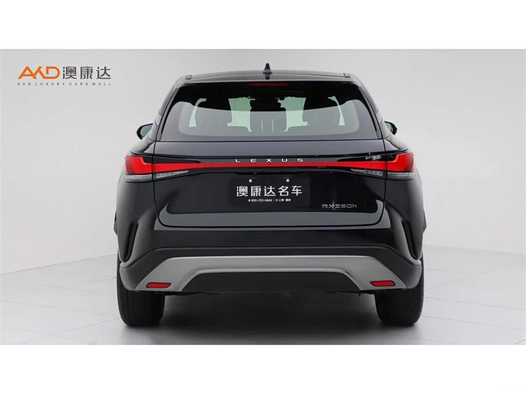 Lexus RX, 2024 4