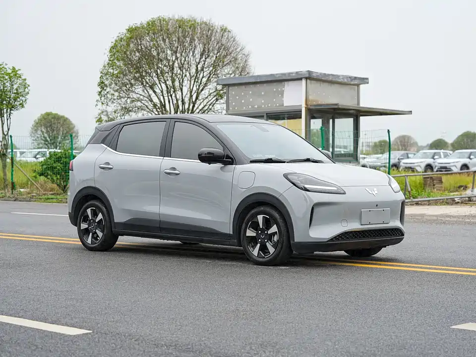 Wuling Wuling Bingguo PLUS