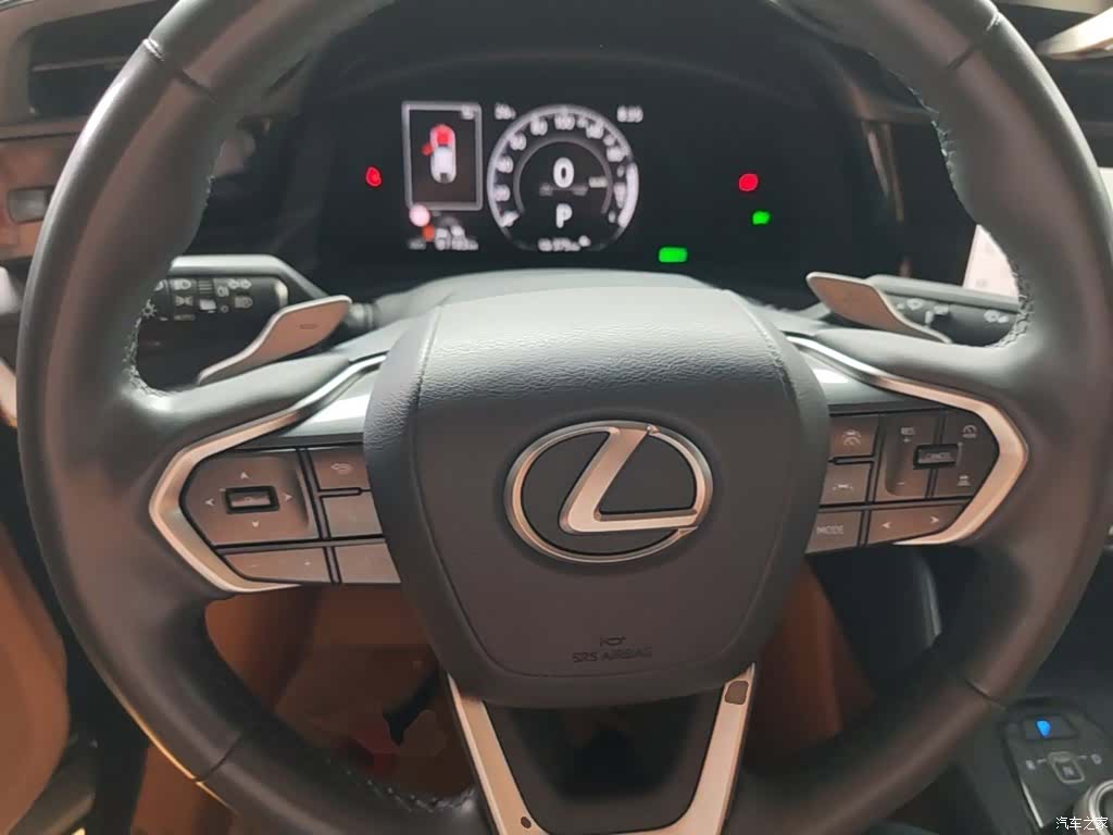 Lexus RZ, 2023 11