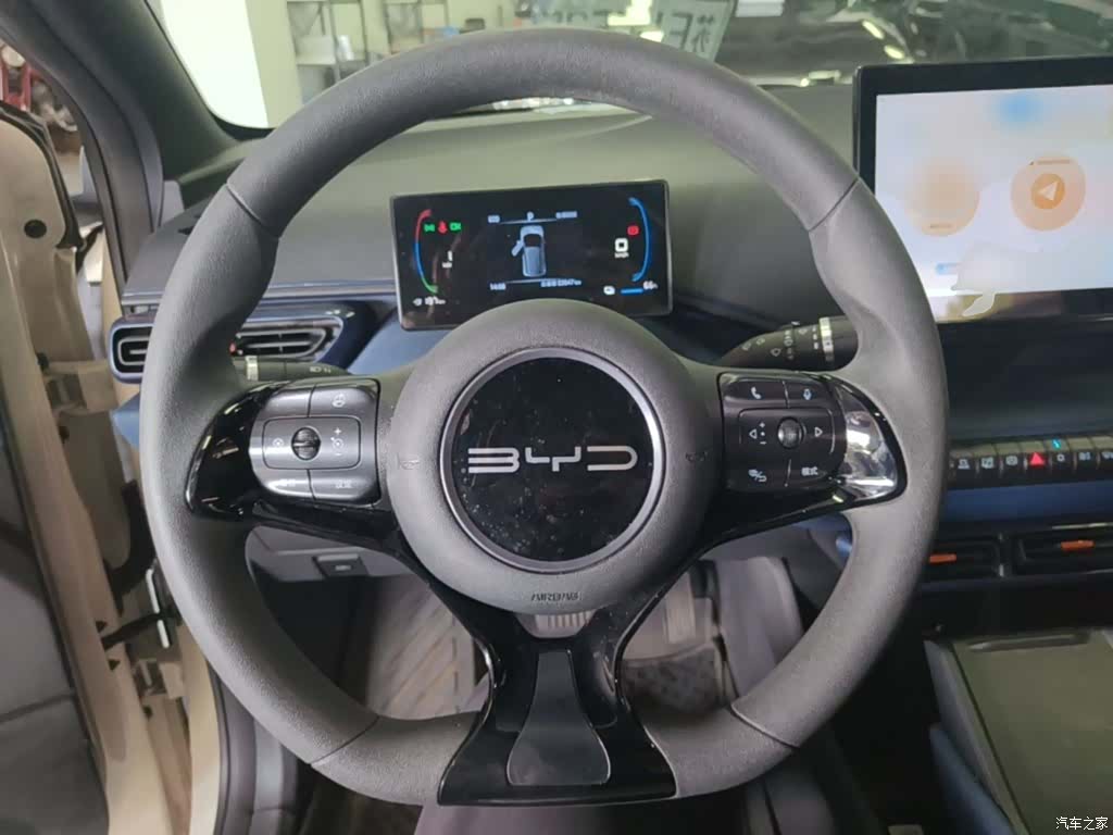 BYD Seagull, 2024 11