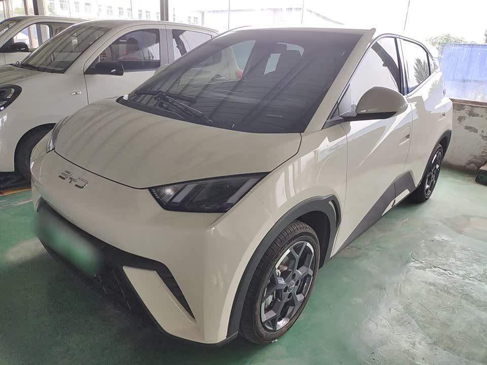 BYD Seagull