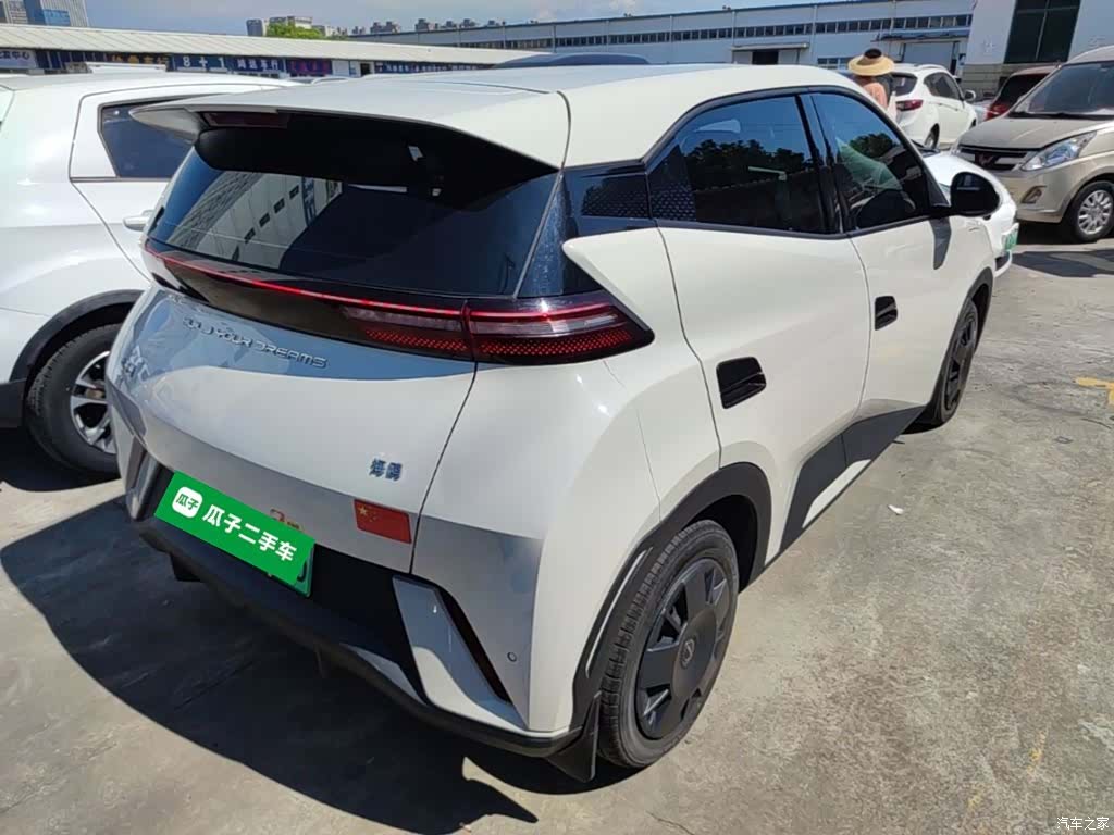 BYD Seagull, 2024 7