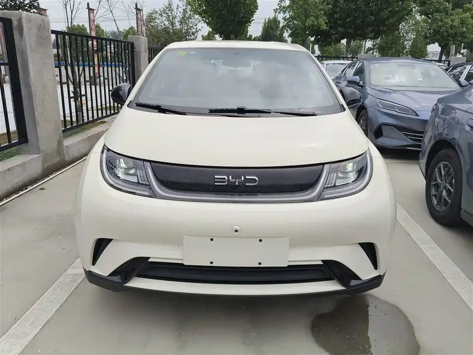 BYD dolphin