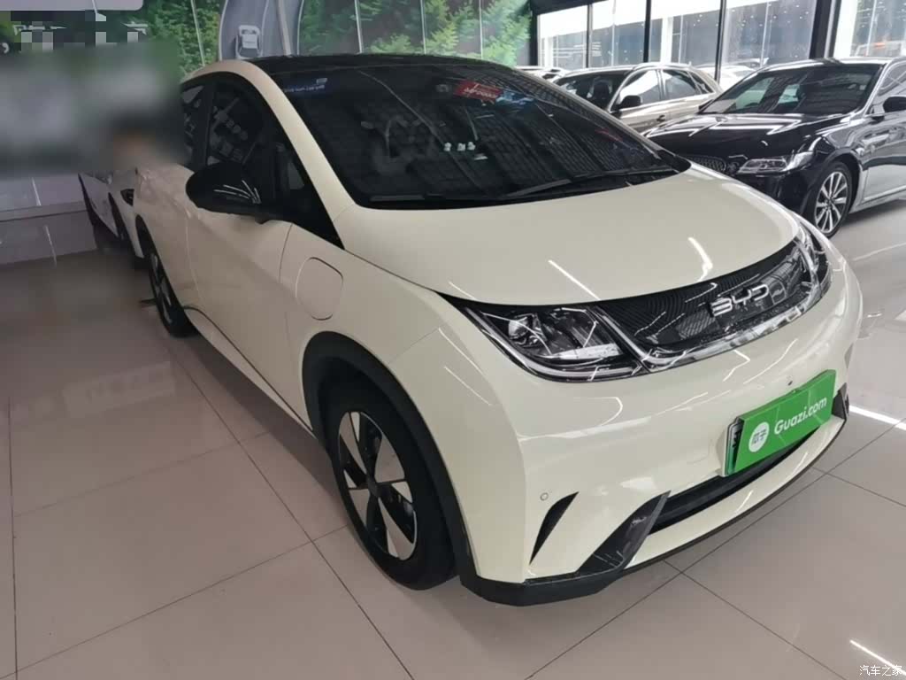 BYD Dolphin, 2023 4