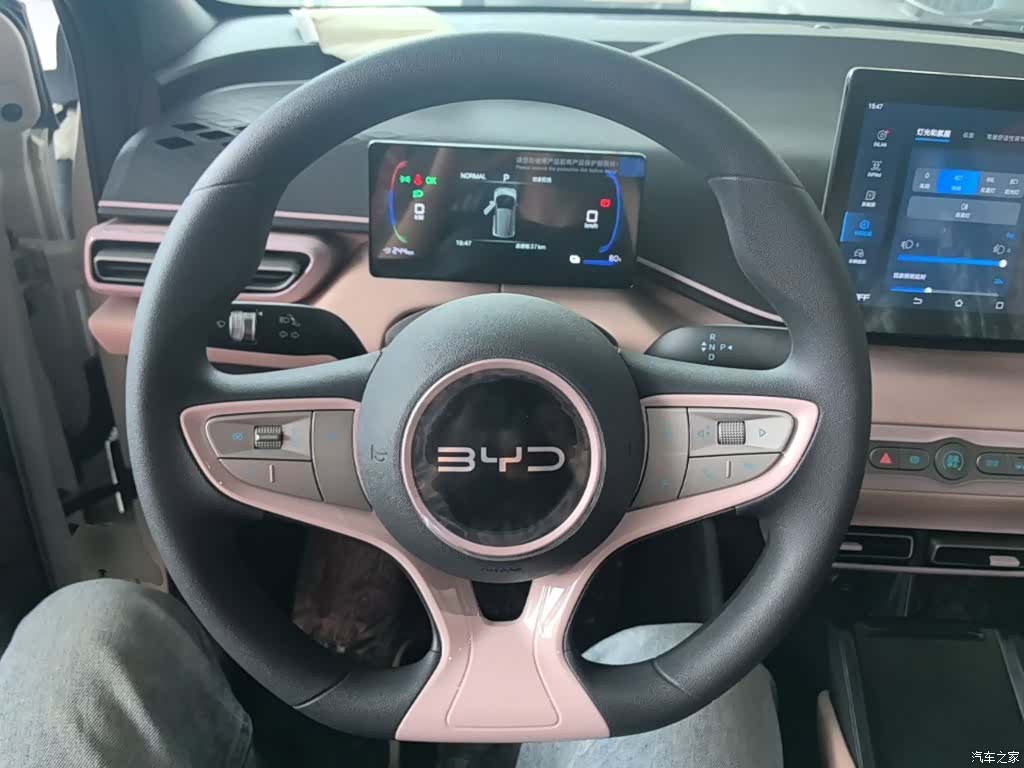 BYD Seagull, 2026 11