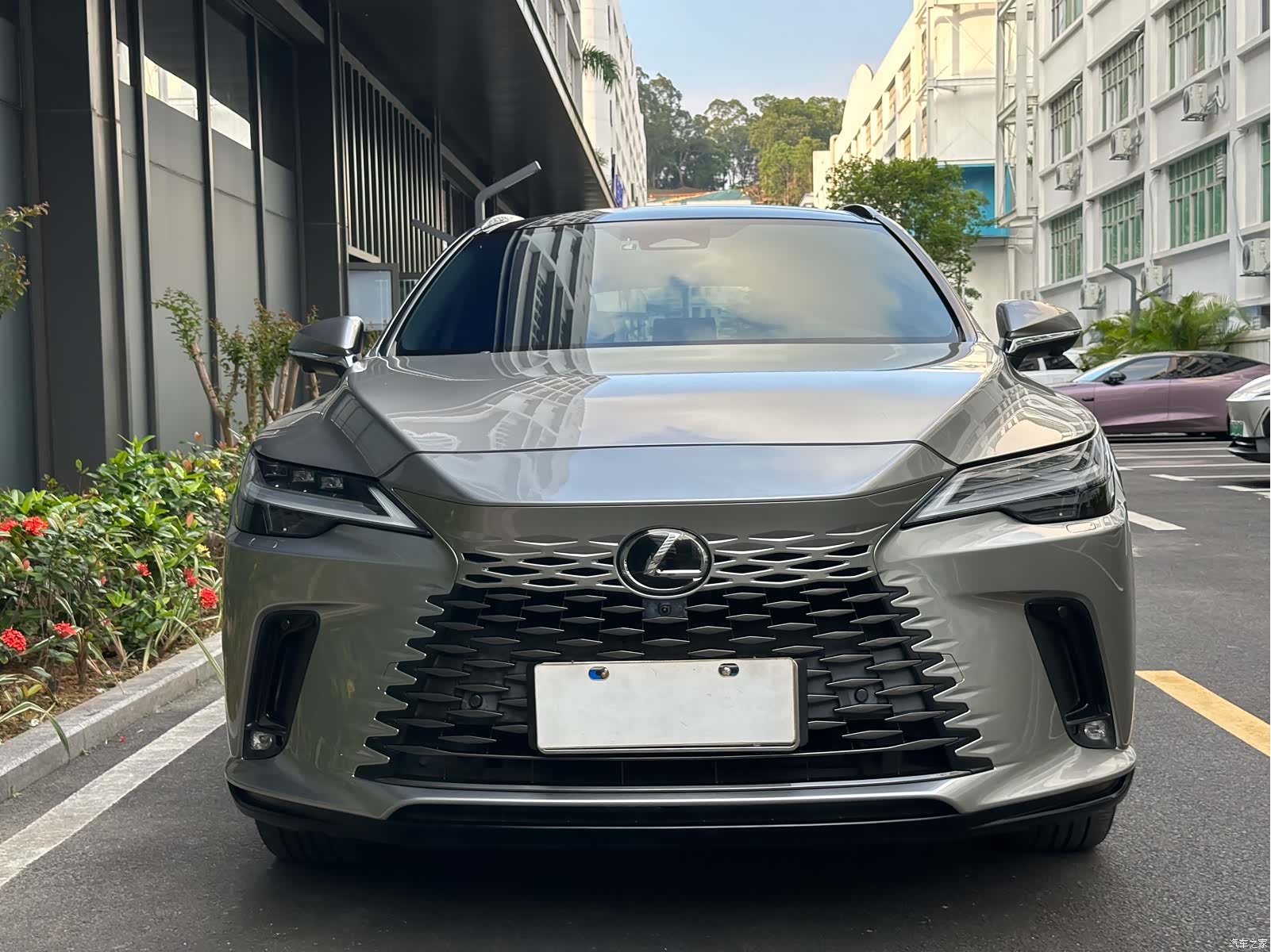 Lexus RX, 2023 1