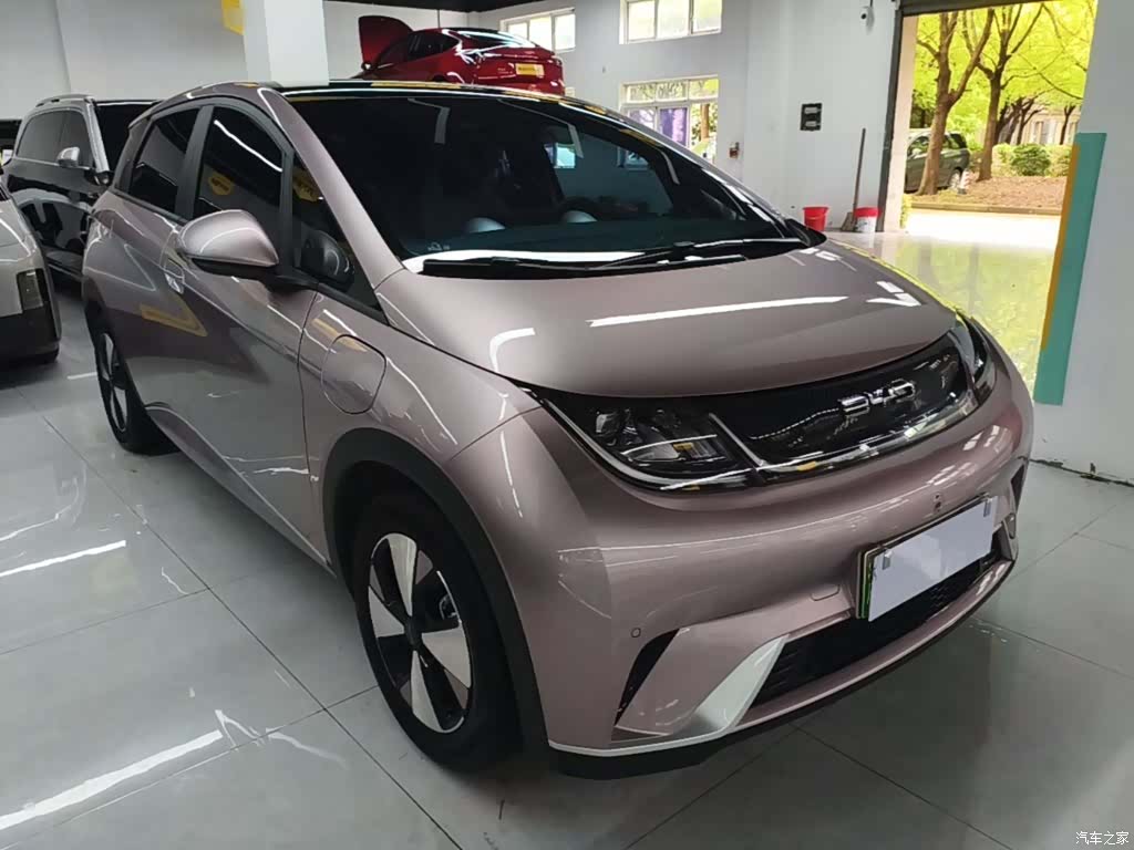 BYD Dolphin, 2024 22