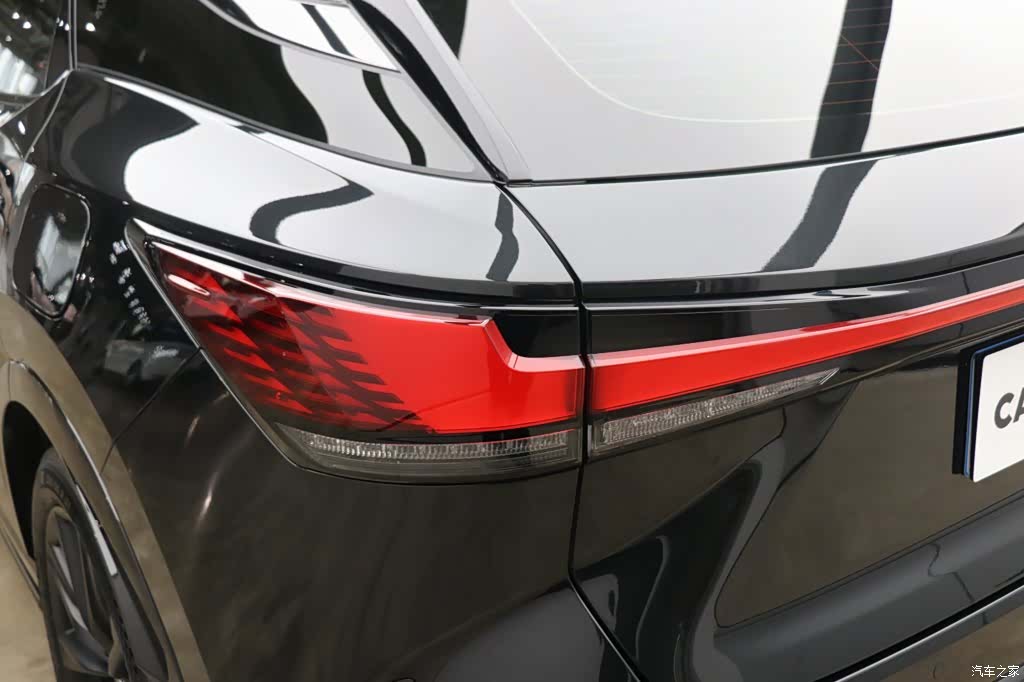 Lexus RX, 2023 28