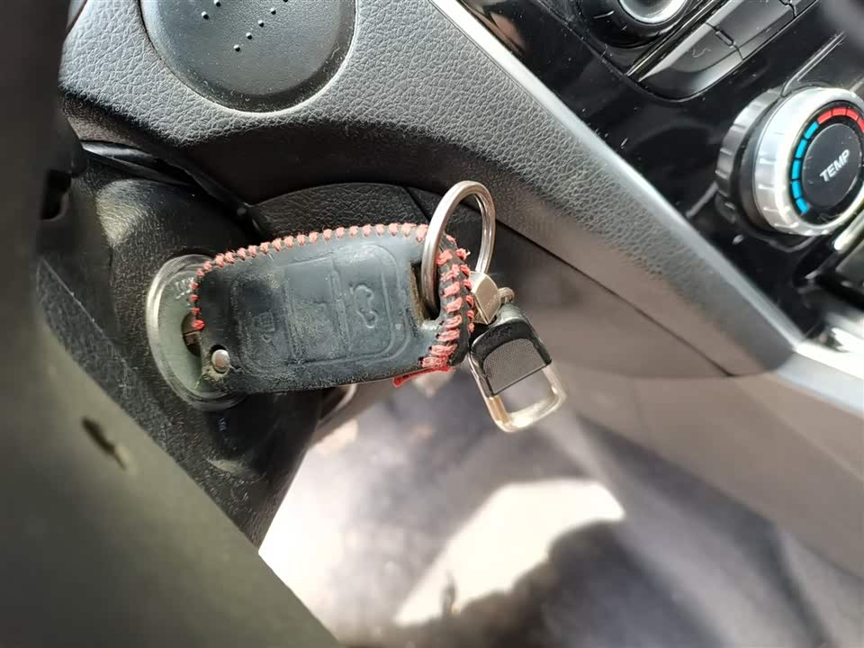 Leopaard Cheetah CS10