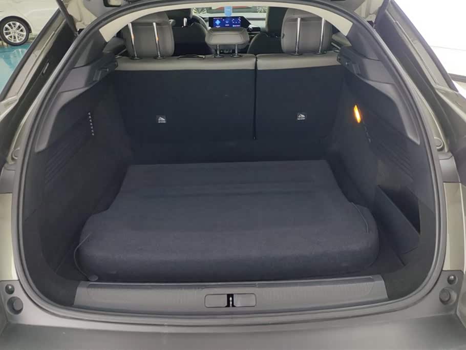 Citroen Versailles C5 X