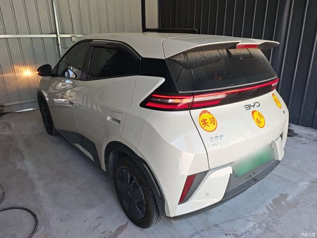 BYD Seagull, 2025 все фото