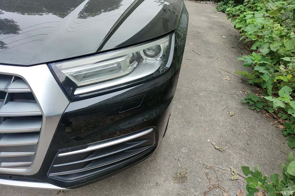 Audi Q5L, 2021 все фото