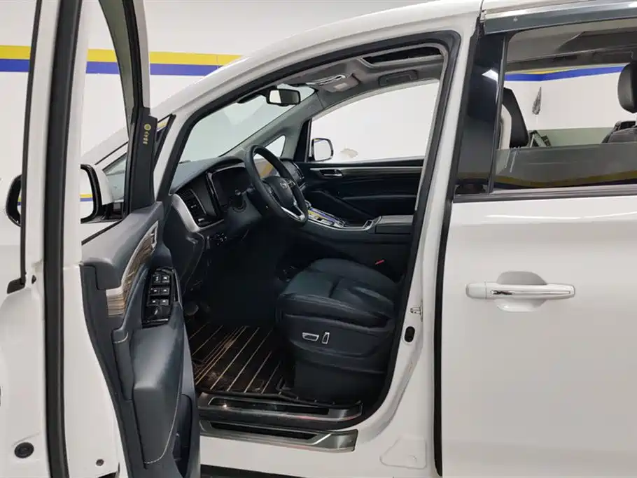 Trumpchi Trumpchi M8