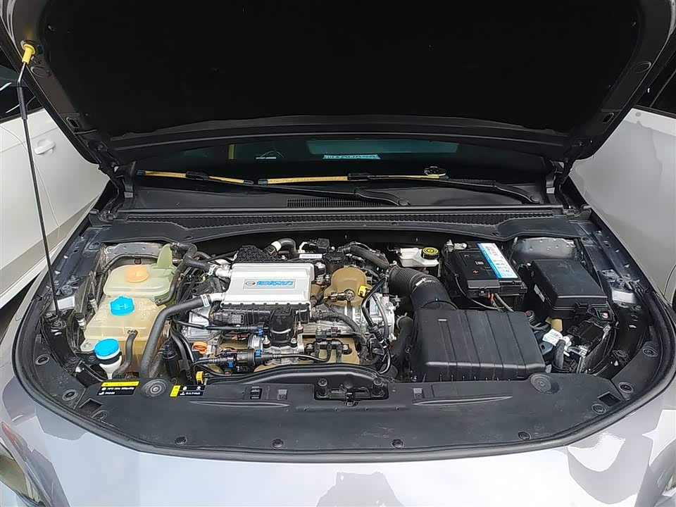 Trumpchi Shadow Leopard